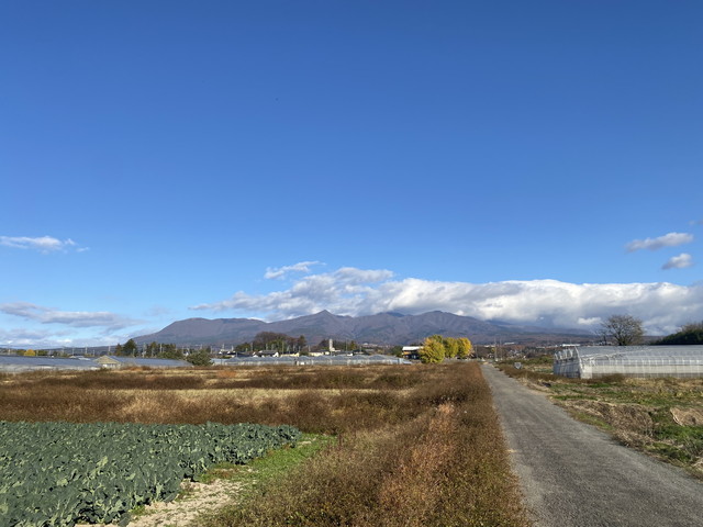 11/28 今朝の赤城山