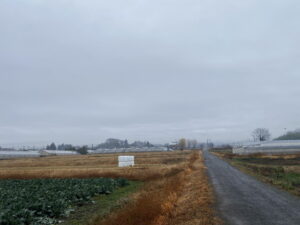 12/24 今朝の赤城山