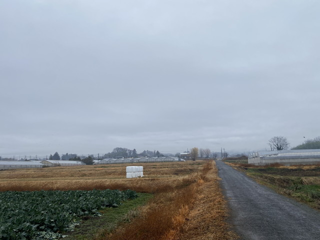 12/24 今朝の赤城山