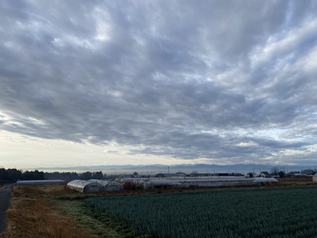 関東平野方面の景色