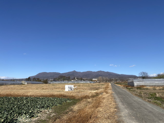 1/11 今朝の赤城山