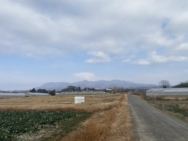 1/19 今朝の赤城山