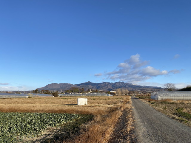 1/21 今朝の赤城山