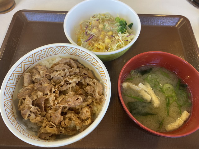 牛丼（ミニ）サラダセット