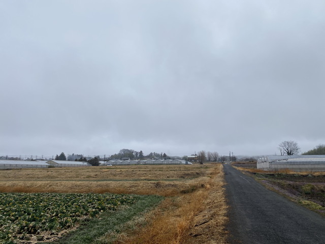 2/26 今朝の赤城山