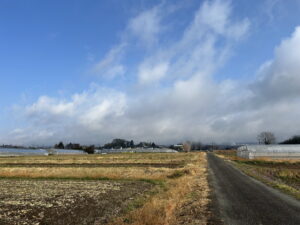 3/10 今朝の赤城山