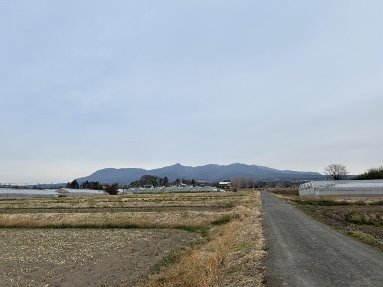 3/13 今朝の赤城山