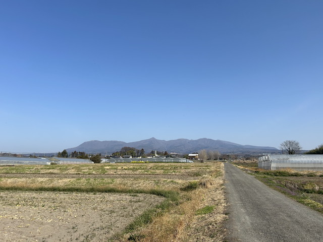 3/22 今朝の赤城山